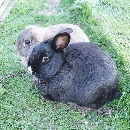 Reipa Camping Vakantiepark Reipå